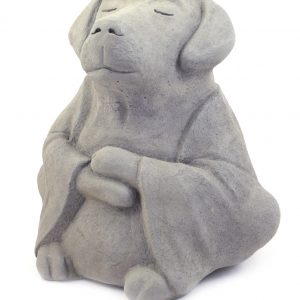Concrete Buddha Dog